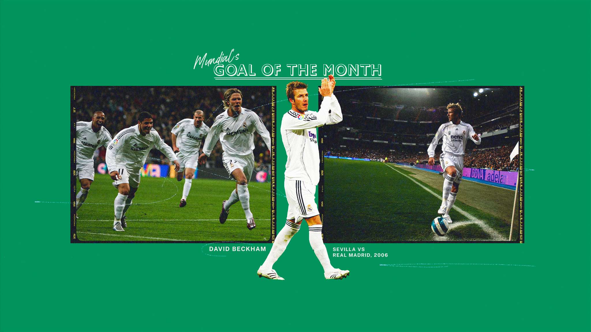 体系中如鱼 体系中如鱼